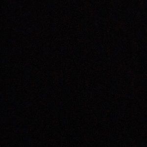 Meet your Posher, Patty